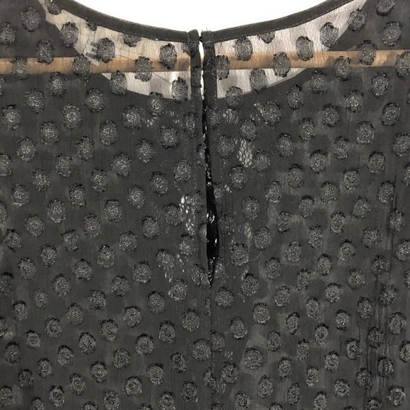 Robbi & Nikki Swiss Dot Sheer Sleeveless Blouse - Picture 7 of 8